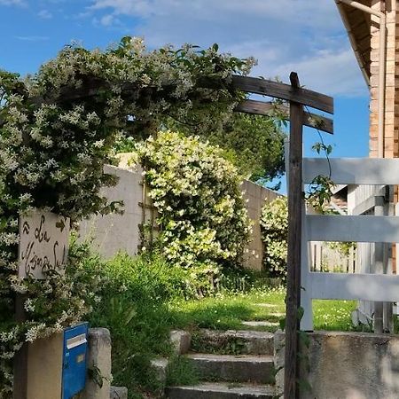 La Maison Du Saule Pompignac Eksteriør billede